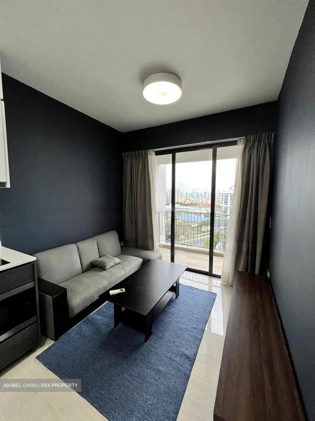 Sims Urban Oasis (D14), Condominium #538476761